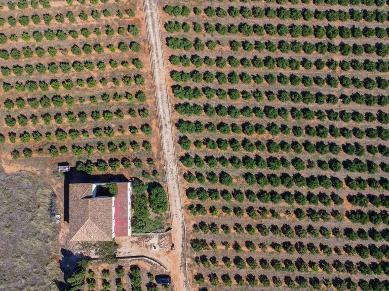 Villa for Sale in El Palmar-Los Molinos, Denia, Alicante 22