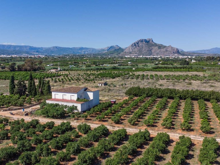 Villa for Sale in El Palmar-Los Molinos, Denia, Alicante 3