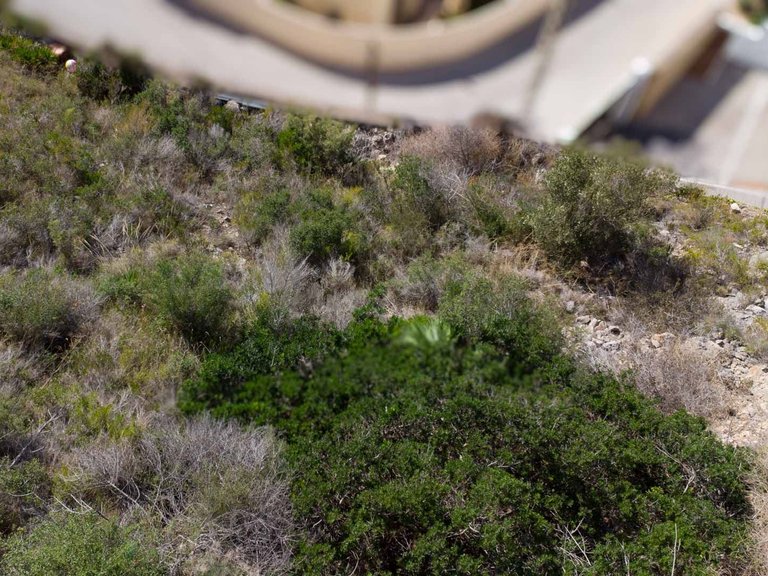 Plot for Sale in El Portet-Pla del Mar, Moraira, Alicante 3