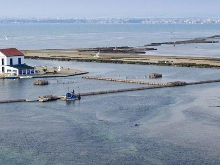 Villa for Sale in San Pedro Del Pinatar, Murcia 9