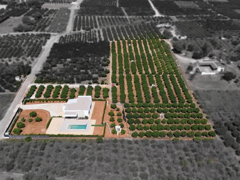 Villa for Sale in Comunidad valenciana, Beniarbeig, Alicante 4