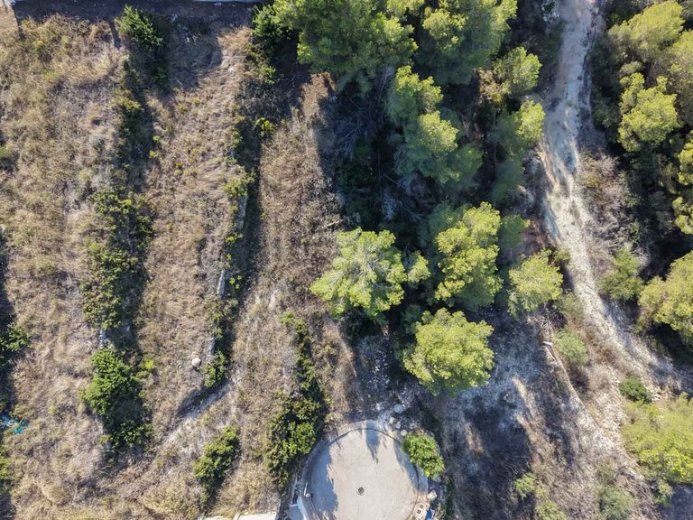 Plot for Sale in Benimeit, Moraira, Alicante 4