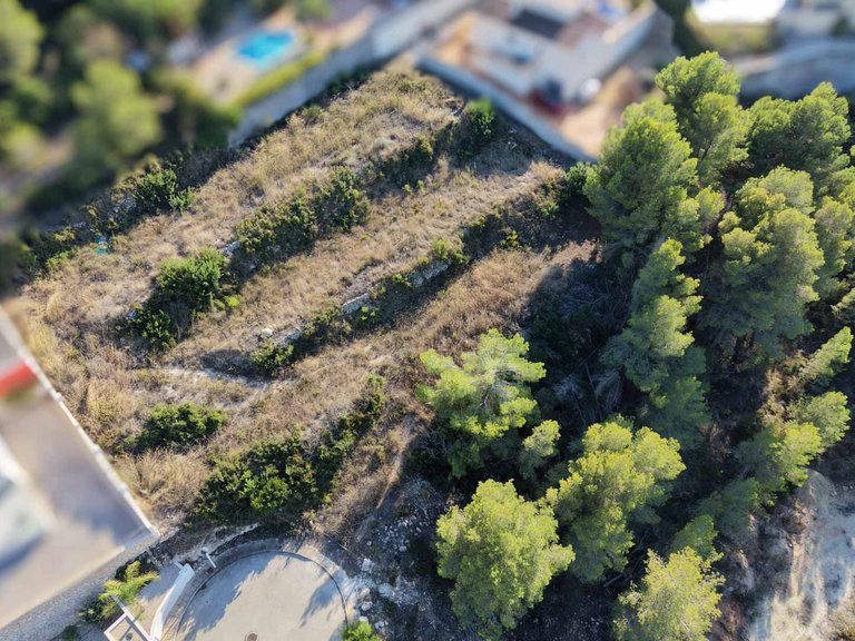 Plot for Sale in Benimeit, Moraira, Alicante 5