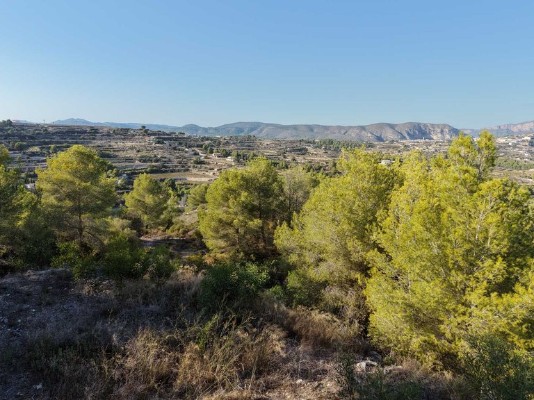 Plot for Sale in Benimeit, Moraira, Alicante 5