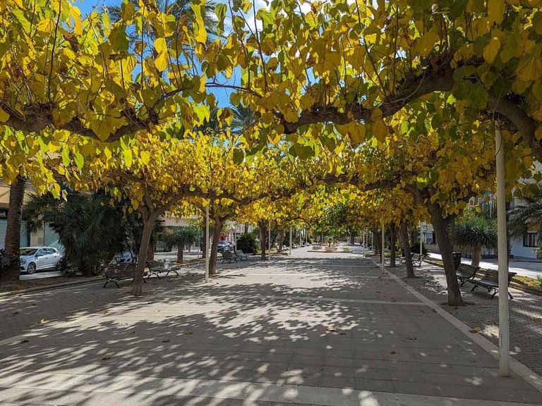 Plot for Sale in Benimeit-Tabaira, Moraira, Alicante 9