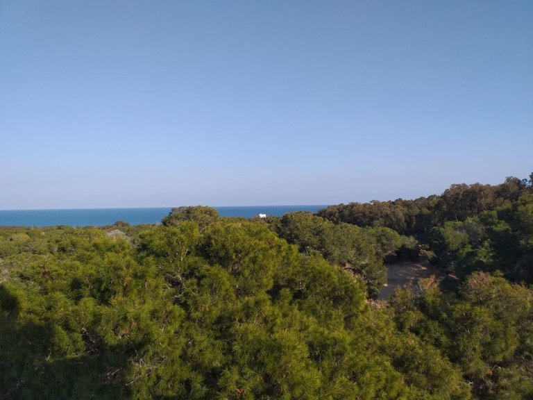 Apartment for Sale in Zona Pueblo, Guardamar Del Segura, Alicante 12