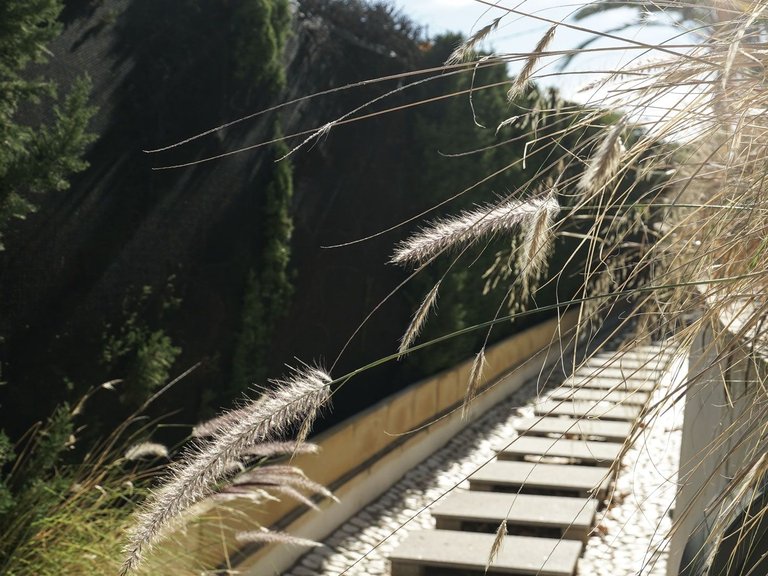 Villa for Sale in Cucarres, Calpe, Alicante 51