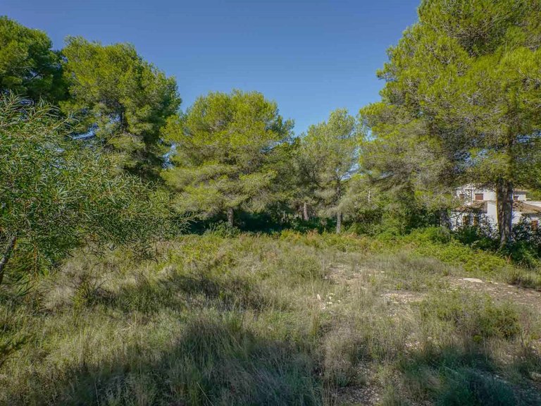 Plot for Sale in Portichol - Balcón al Mar, Jávea - Xàbia, Alicante 10
