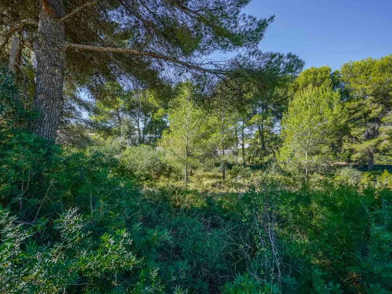 Plot for Sale in Portichol - Balcón al Mar, Jávea - Xàbia, Alicante 11
