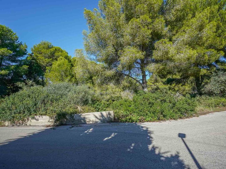 Plot for Sale in Portichol - Balcón al Mar, Jávea - Xàbia, Alicante 12