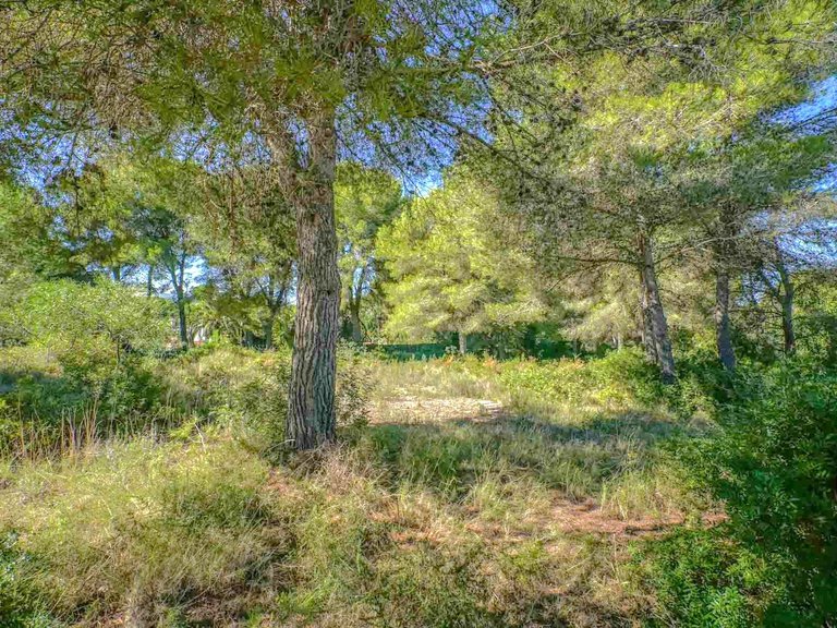 Plot for Sale in Portichol - Balcón al Mar, Jávea - Xàbia, Alicante 2