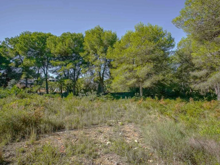 Plot for Sale in Portichol - Balcón al Mar, Jávea - Xàbia, Alicante 3