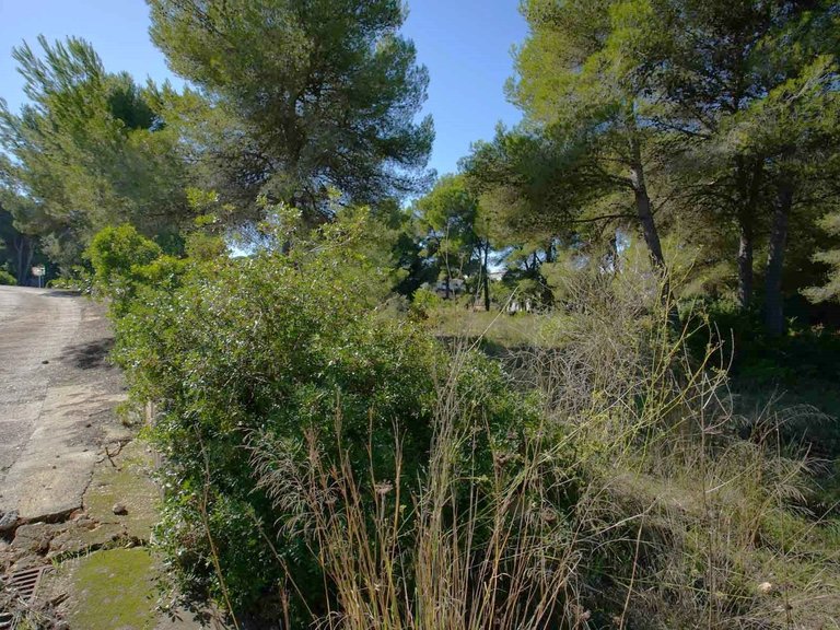 Plot for Sale in Portichol - Balcón al Mar, Jávea - Xàbia, Alicante 4