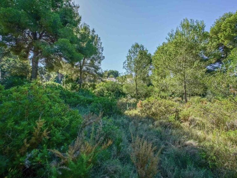 Plot for Sale in Portichol - Balcón al Mar, Jávea - Xàbia, Alicante 7