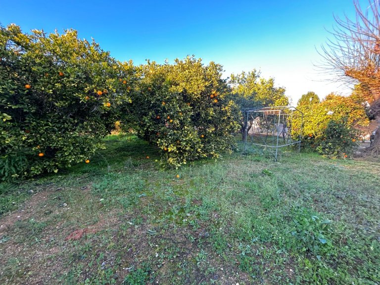 Villa for Sale in Comunidad valenciana, Pedreguer, Alicante 7