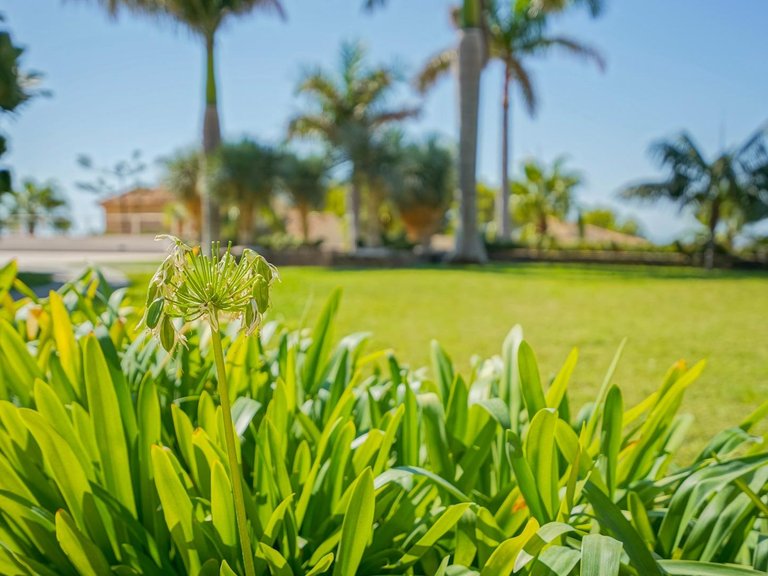 Villa for Sale in Urbanizaciones, Altea, Alicante 62