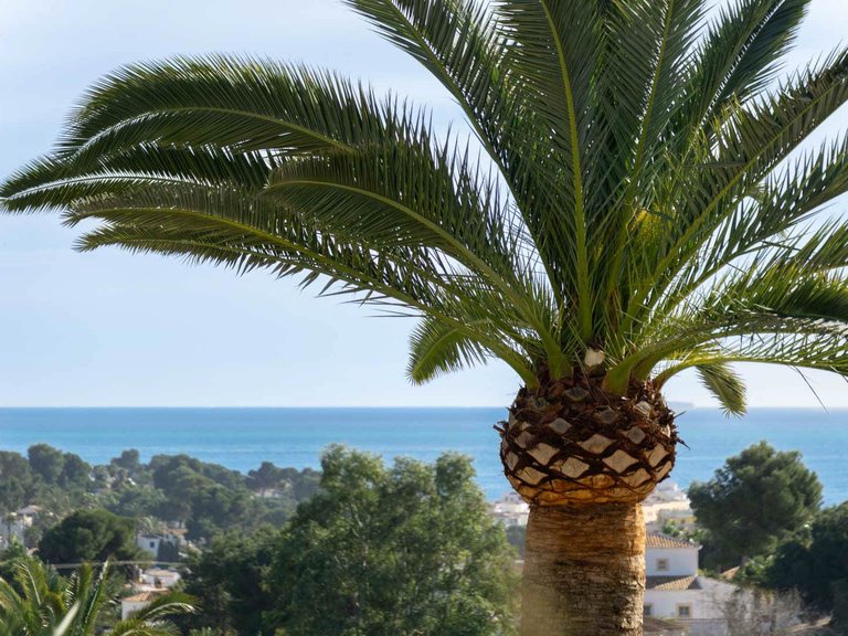 Villa for Sale in La sabatera, Moraira, Alicante 21