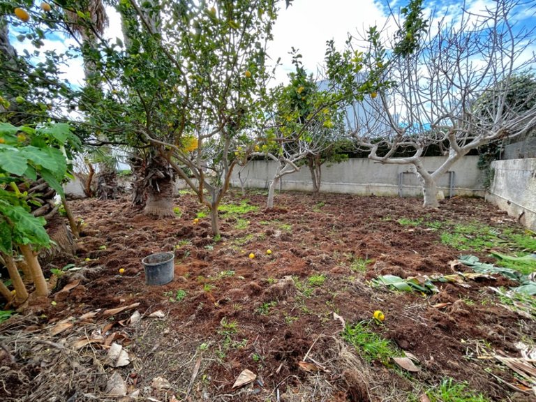 Villa for Sale in Pla del mar, Moraira, Alicante 25