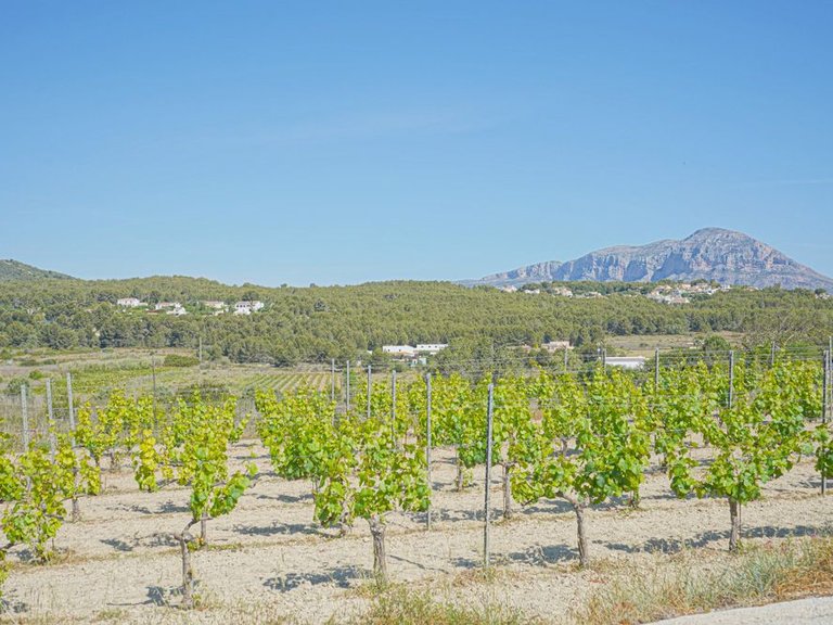 Villa for Sale in La Lluca - La Tarraula, Jávea - Xàbia, Alicante 43