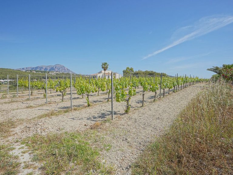 Villa for Sale in La Lluca - La Tarraula, Jávea - Xàbia, Alicante 10
