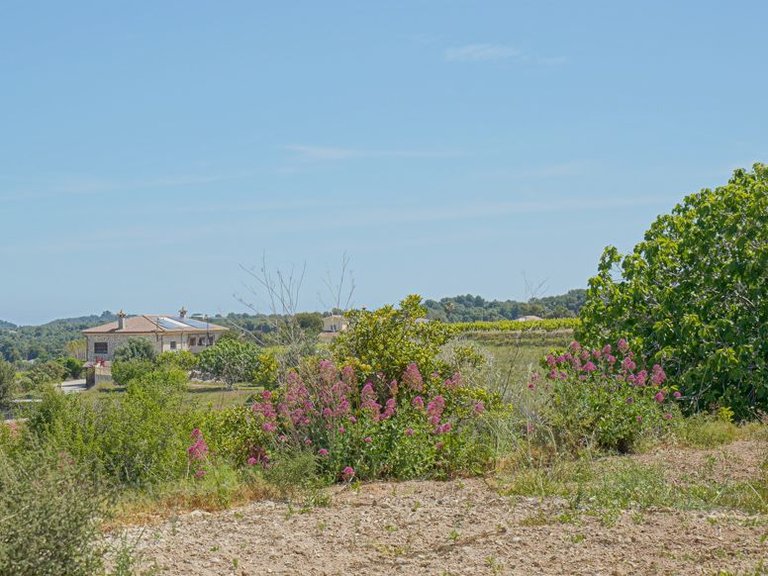 Villa for Sale in La Lluca - La Tarraula, Jávea - Xàbia, Alicante 47