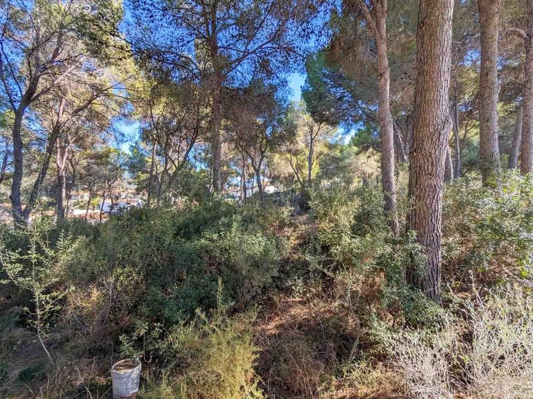 Villa for Sale in Pinar de Advocat-Cometa, Moraira, Alicante 8