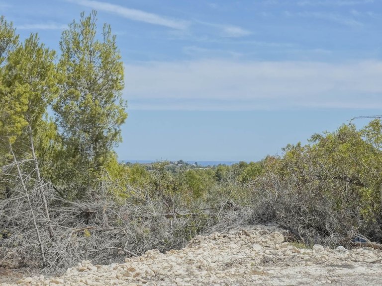 Villa for Sale in Monte Olimpo, Jávea - Xàbia, Alicante 23