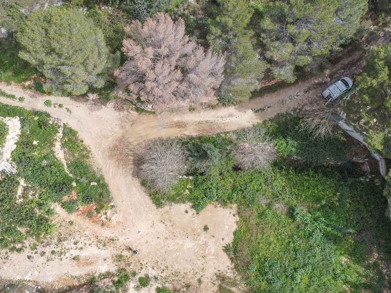 Villa for Sale in Puerto, Jávea - Xàbia, Alicante 14