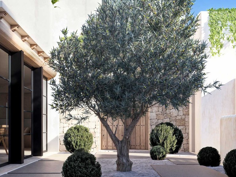 Villa for Sale in Les Rotes/Las Rotas, Denia, Alicante 5