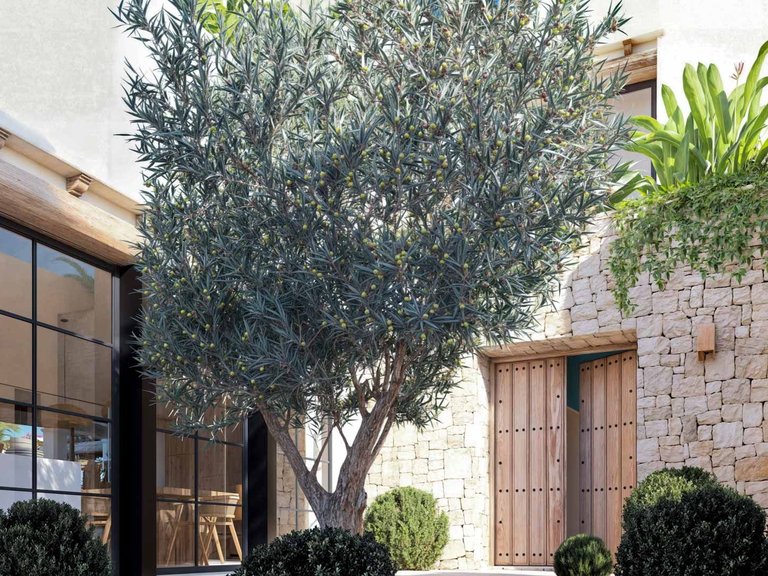Villa for Sale in Les Rotes/Las Rotas, Denia, Alicante 7