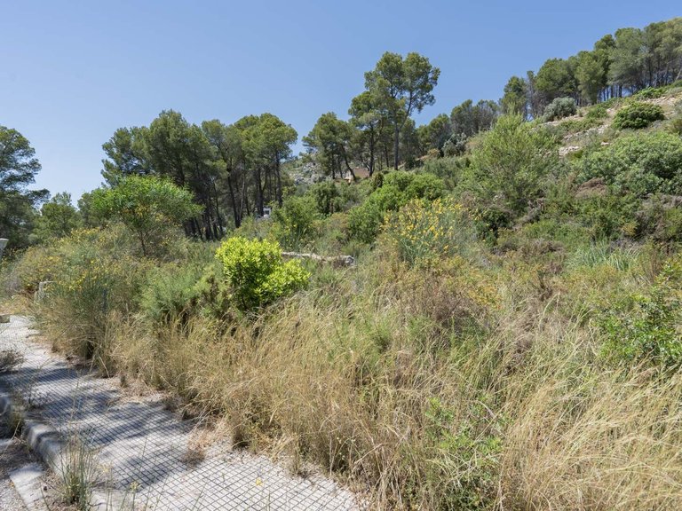 Villa for Sale in La solana garden, Alcalali, Alicante 25