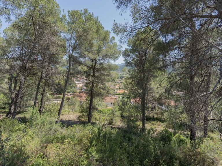 Villa for Sale in La solana garden, Alcalali, Alicante 69