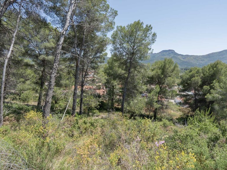 Villa for Sale in La solana garden, Alcalali, Alicante 28