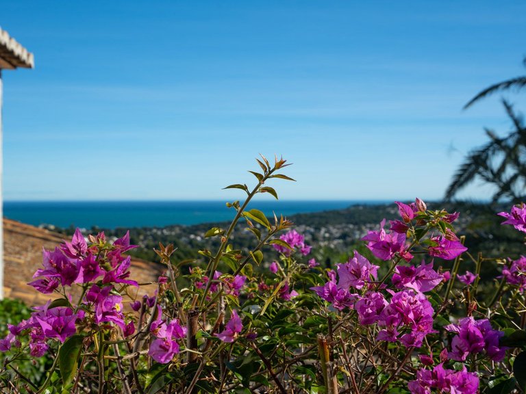 Villa for Sale in Cap Martí - Pinomar, Jávea - Xàbia, Alicante 39