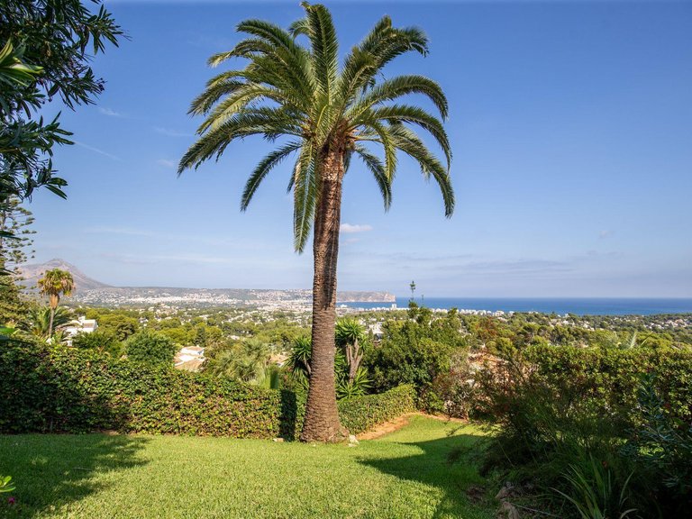 Villa for Sale in Cap Martí - Pinomar, Jávea - Xàbia, Alicante 6