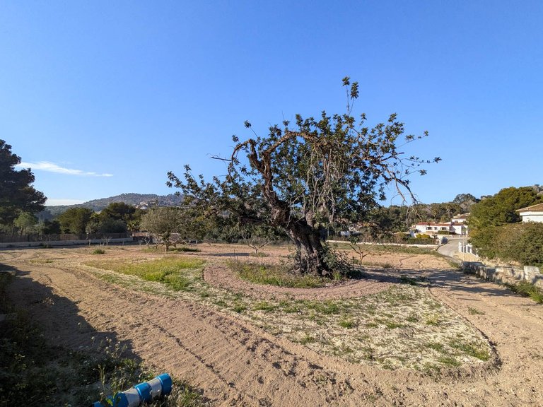 Villa for Sale in Sol de Este - Puerta Fenicia, Jávea - Xàbia, Alicante 43