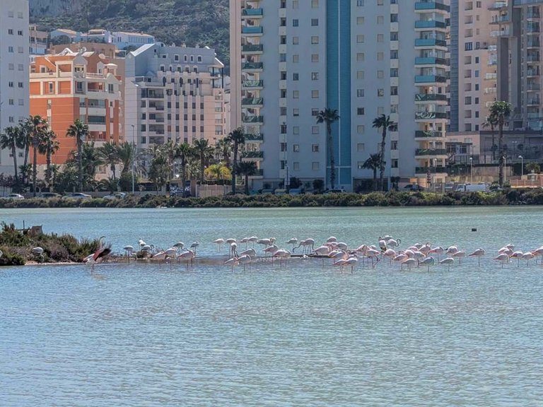 Villa for Sale in Cometa-Carrió, Calpe, Alicante 27