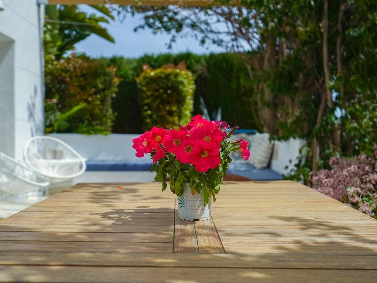 Villa for Sale in Montgó - Ermita, Jávea - Xàbia, Alicante 28