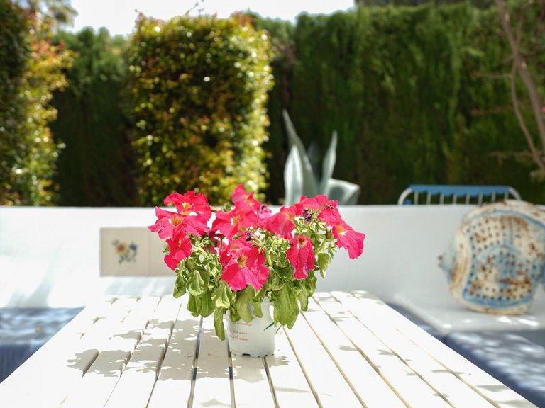 Villa for Sale in Montgó - Ermita, Jávea - Xàbia, Alicante 42