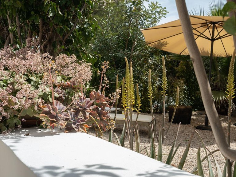 Villa for Sale in Montgó - Ermita, Jávea - Xàbia, Alicante 44