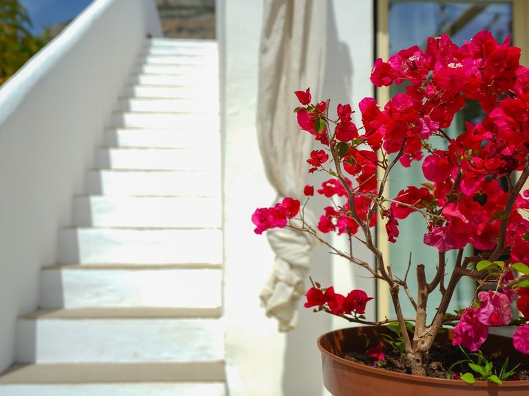 Villa for Sale in Montgó - Ermita, Jávea - Xàbia, Alicante 47