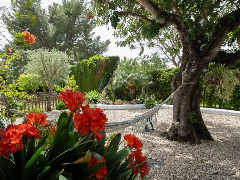 Villa for Sale in Montgó - Ermita, Jávea - Xàbia, Alicante 49