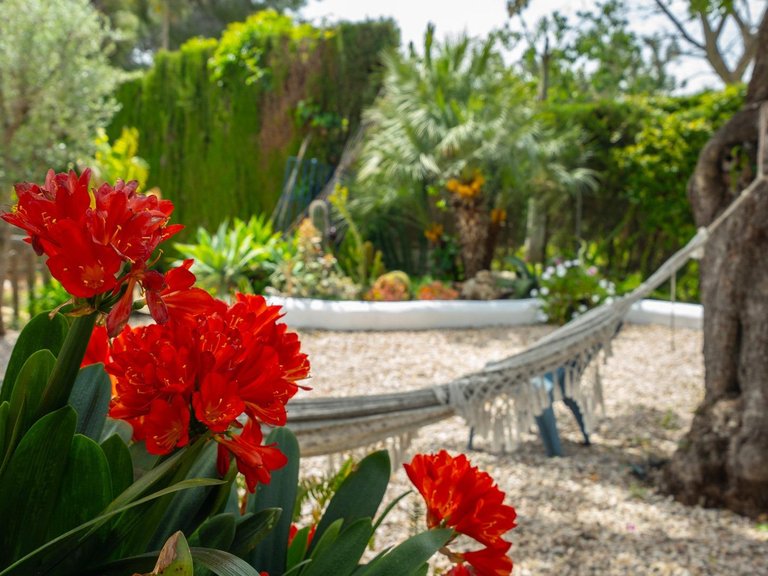 Villa for Sale in Montgó - Ermita, Jávea - Xàbia, Alicante 52