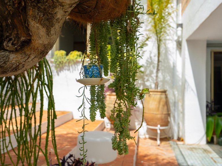 Villa for Sale in Montgó - Ermita, Jávea - Xàbia, Alicante 61