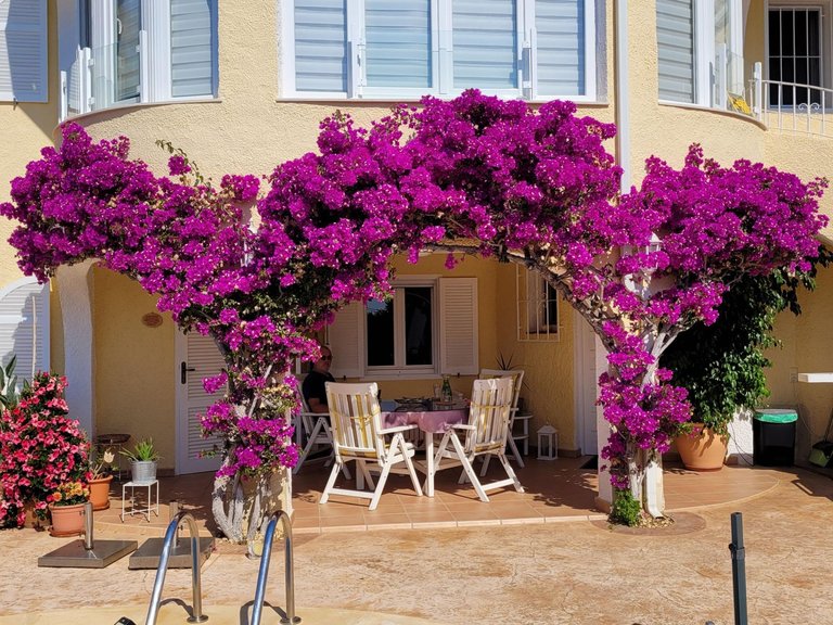 Villa for Sale in Cometa, Calpe, Alicante 4