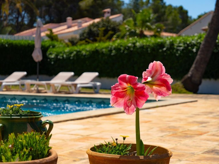 Villa for Sale in Pla del mar, Moraira, Alicante 48