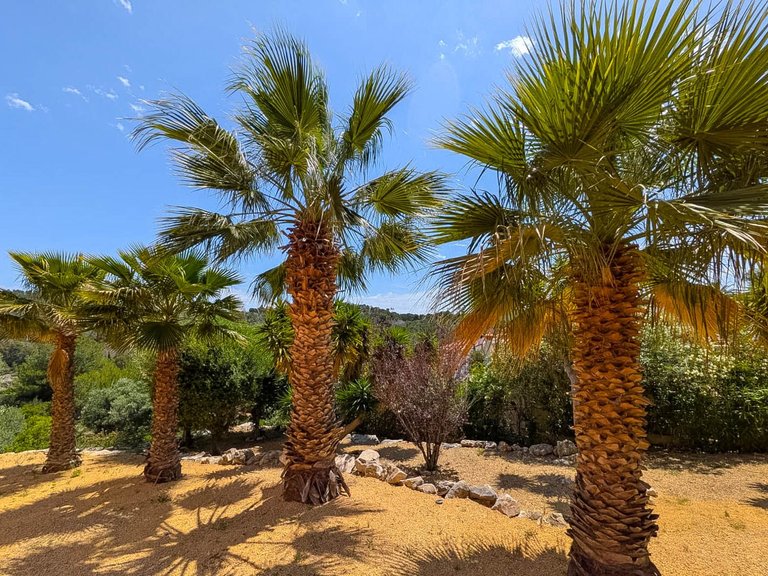 Villa for Sale in Sol de Este - Puerta Fenicia, Jávea - Xàbia, Alicante 38