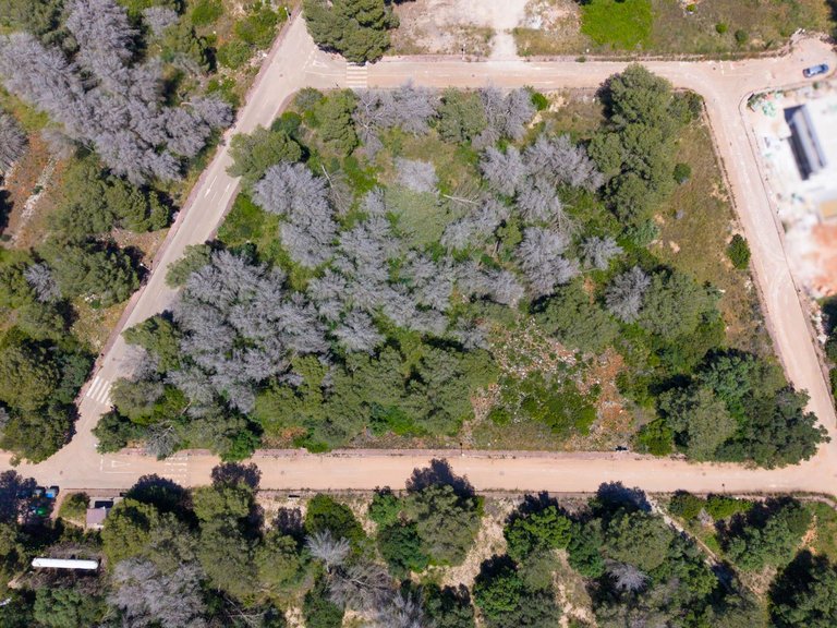 Plot for Sale in Portichol - Balcón al Mar, Jávea - Xàbia, Alicante 4