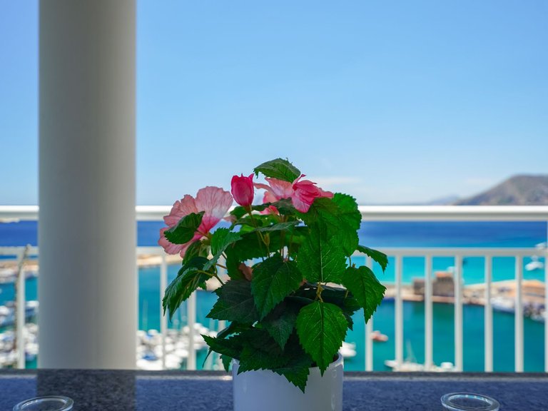 Apartment for Sale in Puerto, Calpe, Alicante 9