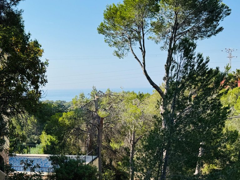 Plot for Sale in Galera de las palmeras, Altea, Alicante 10